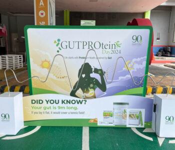 Giant Wire Buzz Maze Game